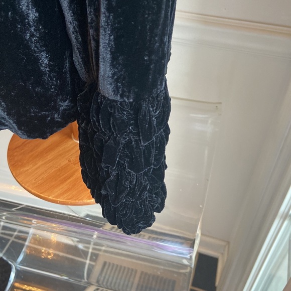 Holly In Hanoi Silk Velvet Jacket - Picture 7 of 16